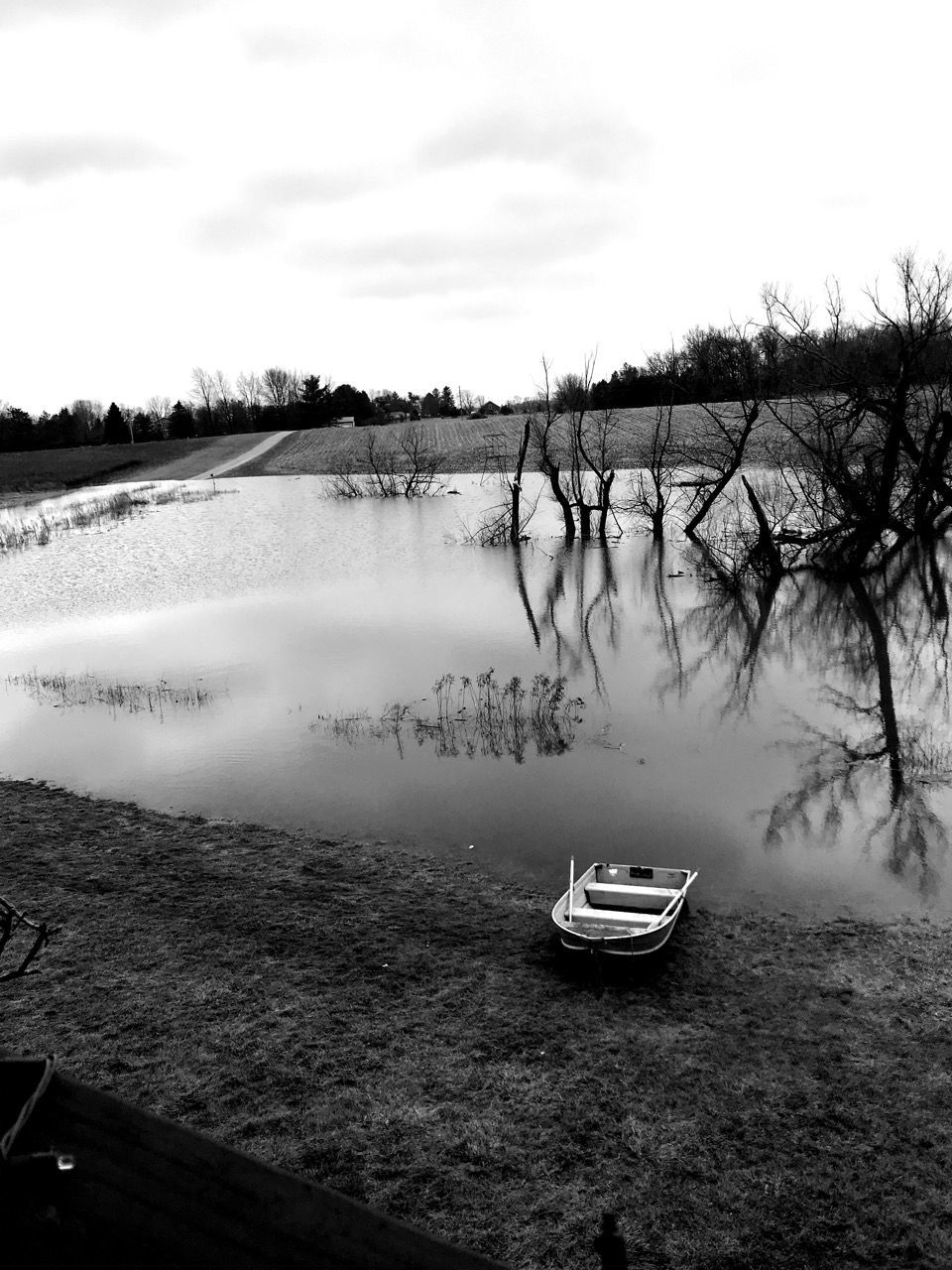 Flood